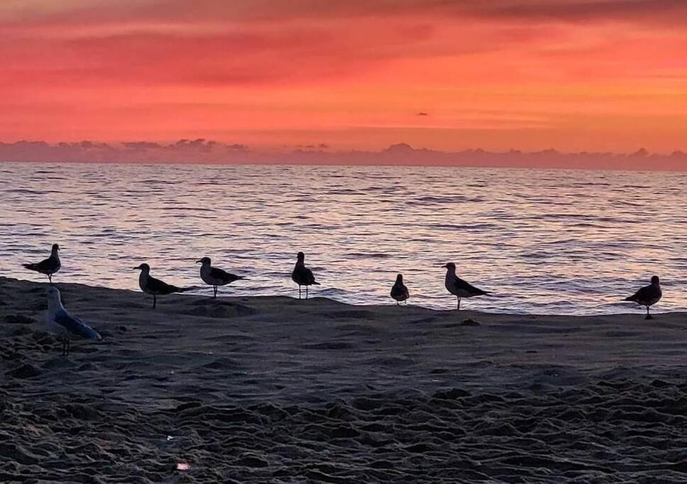 North Ocean City Newly Remodeled Esterno foto